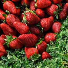 strawberry fields (sped up)