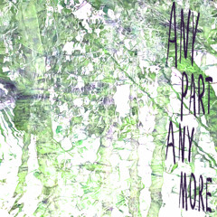 Any Part Any More