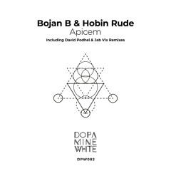 Apicem (David Podhel Remix) [Dopamine White]