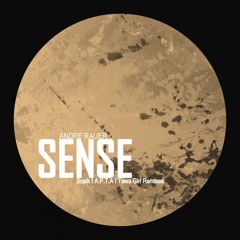 Andre Rauer - Sense (Sopik 'Acid' Remix)