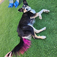 Circe Big Booty Judy