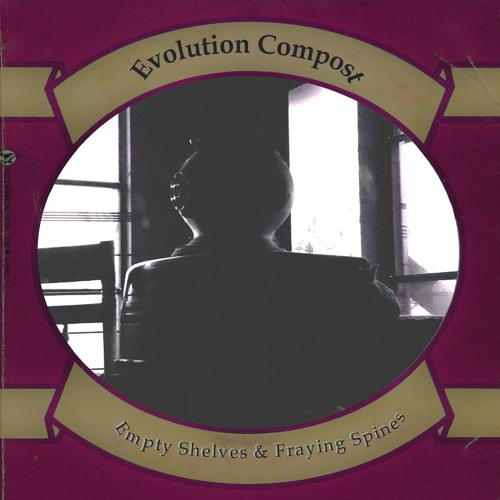 Empty Shelves And Fraying Spines