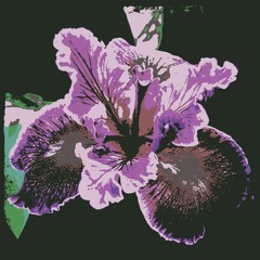 Iris (Goo Goo Dolls Cover Feat. AcoustiClub)