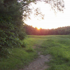 ifwewasathinglike.mp3