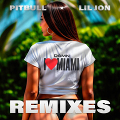 Damn I Love Miami (DJ Laz Remix)