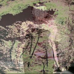 avant-garde w/hottywood )kars( #ne