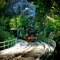 Narrow Gauge Train Crossing