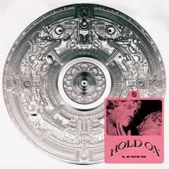 Levex - Hold On