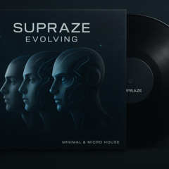 Minimal House - Micro House