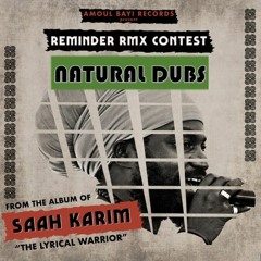 REMINDER - SAAH KARIM / NATURAL DUBS RMX