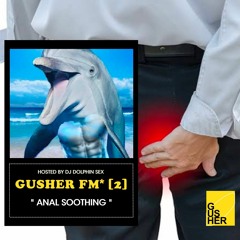 GUSHER FM* [2] ANAL SOOTHING