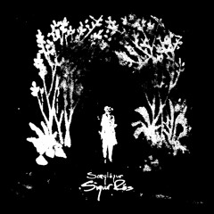 saeglopur - endrun edit