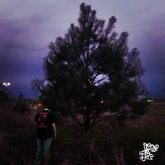 Stinky Turtle Type Beat