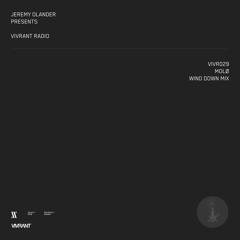 Vivrant Radio 029 | MOLØ Wind Down Mix