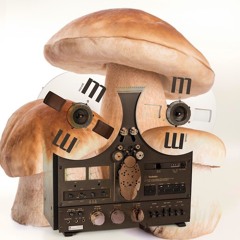 Mushroom Jazz 15 - Mark Farina