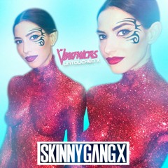 The Veronicas - Untouched (SKINNY GANG X REMIX)