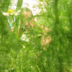 Uma Thurman vs. Lucy Liu