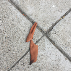 Romanticizing Trauma