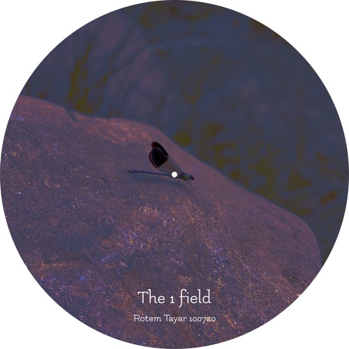 The 1 Field - Part 2 @ Rotem Tayar 10.07.20