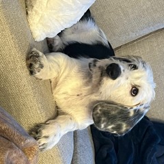 IDK What Genre This Is