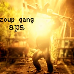 apa