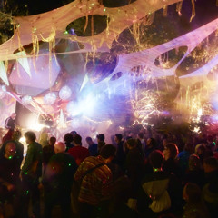 VARGO @ WURZELFESTIVAL 2025 // Chill im Hain - Elfenfloor