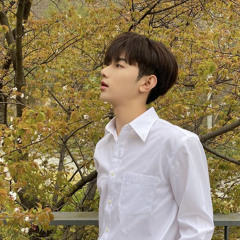 내가 들으려고 올린 장하오 ‘고백의 밤’ 🎻