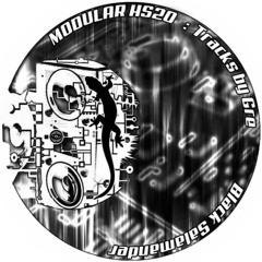 Gre - Black Salamander (Modular HS 20)