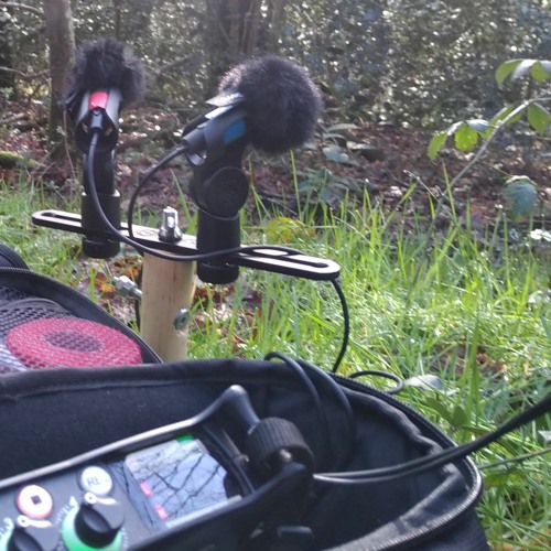 Comparer. MixPre 6-II - Earsight microphones - Gesvres un 11 février 2024