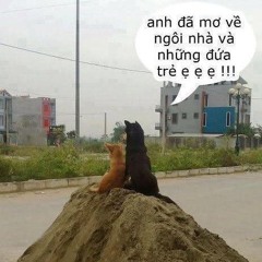 Ngôi nhà hạnh phúc - Vigga