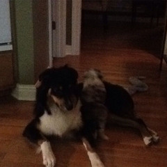 i saw her smile one last time