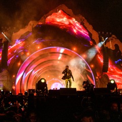 Astroworld Festival chaos