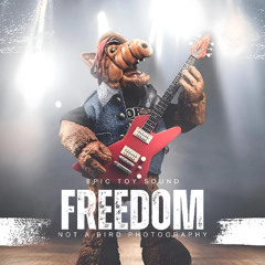 Freedom
