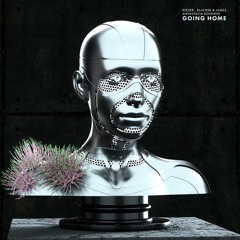 Reezer, Blacker & James, Annastacia Boudwin - Going Home (Extended Mix)