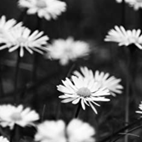 𝔹𝕦𝕥𝕥𝕖𝕣𝕗𝕝𝕪’𝕤 ℝ𝕖𝕡𝕠𝕤𝕖- 𝕊𝕝𝕠𝕨𝕖𝕕