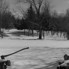 descending testmasis