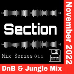 Section - Mix series 011 - DnB & Jungle Mix November 2022