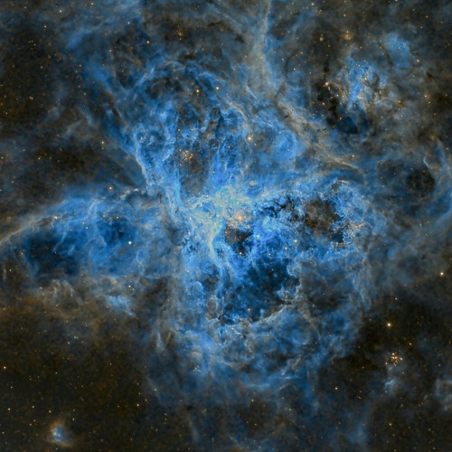 Casual Treatment - Terminate [MT60]