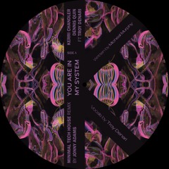 You Are In My System (Jonny Adams Minimal Edit)