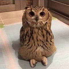 The Come Up ft. Kaijin