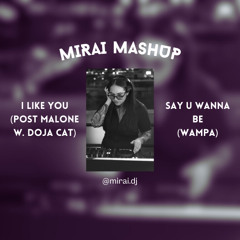 I Like You (Post Malone w. Doja Cat) X Say U Wanna Be (Wampa) - MIRAI MASHUP