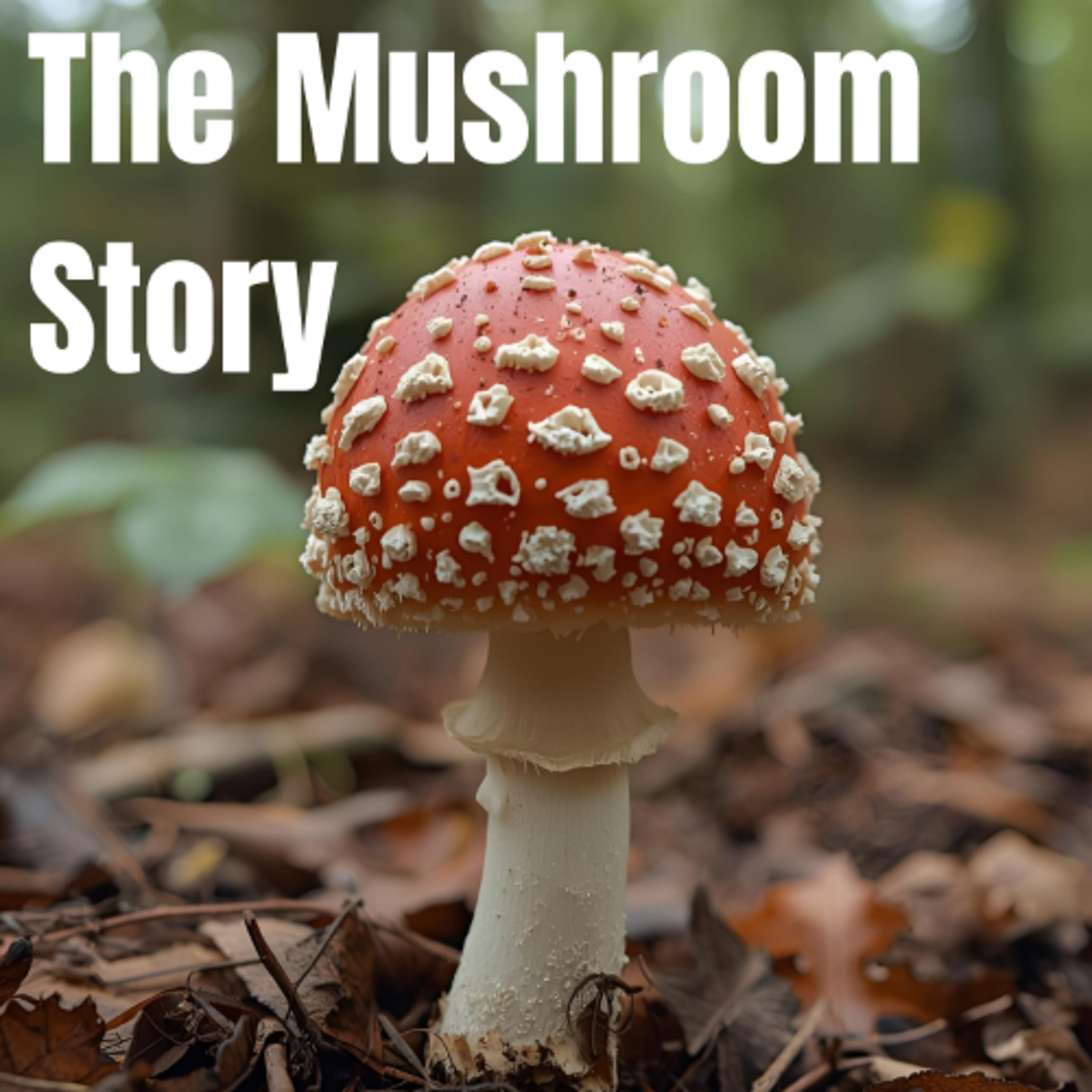 The Mushroom Story - Emilia and Ava - Nazareth College