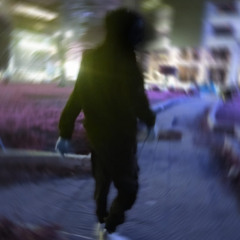 lonewolf