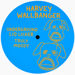 Underground Lid Licker