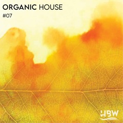 Organic House Vol.7 - Zizzi Selection
