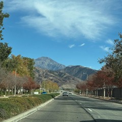 Hidden Behind Every Scene …🌹 Detrás De Cada Escena Está… 🌹