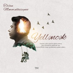 Tərlan Məmmədhüseynov "Yelləncək"