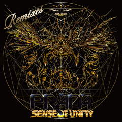 4. Prana - Primal Orbit (Funky Gong Remix)sample