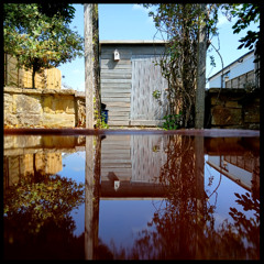 Petrichor