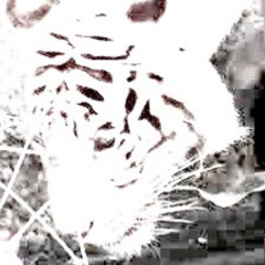 hood angels - yves nisha / superslowed.